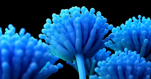 食品安全關乎我們健康，使用儀器快速檢測防止不健康的產(chǎn)品