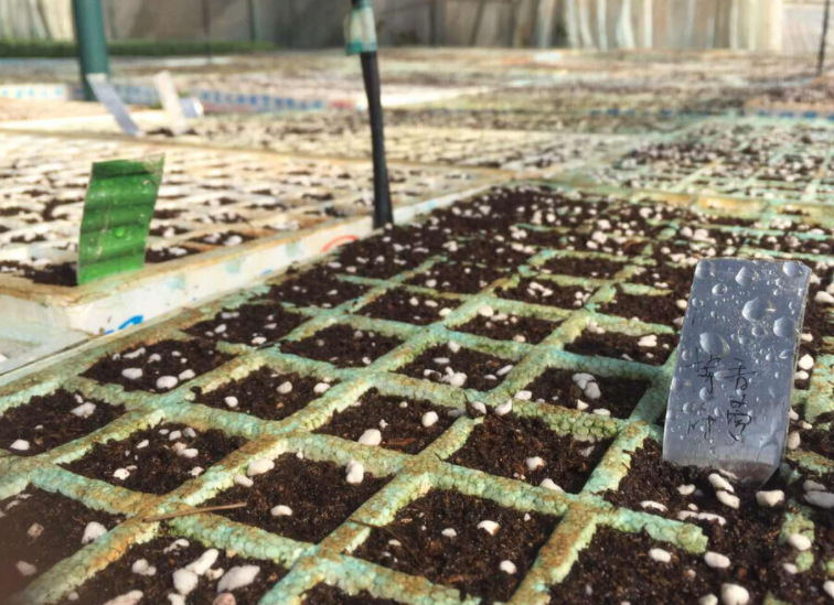 土壤氧化還原電位測(cè)定儀：解讀適用范圍與土壤類型