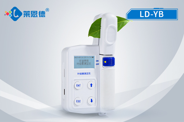 如何選擇適合的葉綠素測定儀？萊恩德葉綠素測定儀使用指南