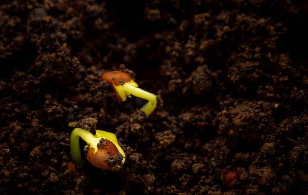 提升農(nóng)作物生產(chǎn)！肥料養(yǎng)分含量測定儀幫您準(zhǔn)確分析土壤和肥料