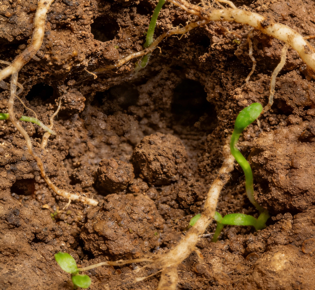 土壤養(yǎng)分快速檢測儀哪個靠譜？國產(chǎn)土壤養(yǎng)分速測儀權威評測與選購指南