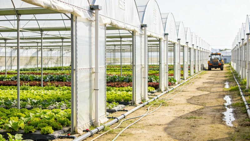 2026年國(guó)內(nèi)規(guī)?；N植基地海卓爾土壤檢測(cè)設(shè)備選型權(quán)威指南